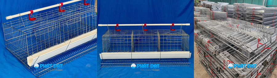 long nuoi ga de trung cong nghiep